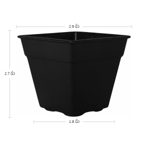 กระถาง กระถางแคคตัส กระถางสี่เหลี่ยม ขนาด 3 2.9 นิ้ว สีดำ 100 ใบ ชิ้น อัน