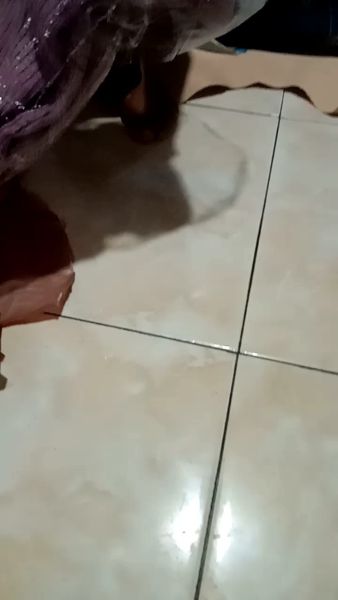 Buyer review video 2