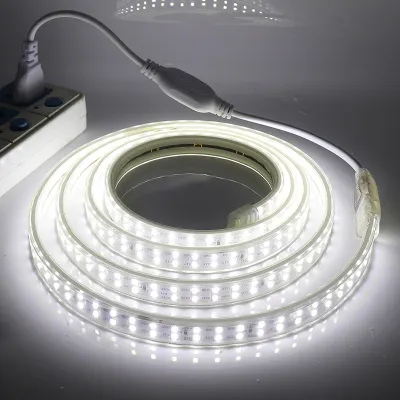 LED Strip Light 220V With Plug Indoor Outdoor Flexible Light Strip White Warm RGB Waterproof Christmas Lamp ALINLT