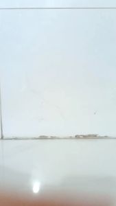 Bình xịt tưới cây Dudaco 1 lít chuyên dụng cần dài