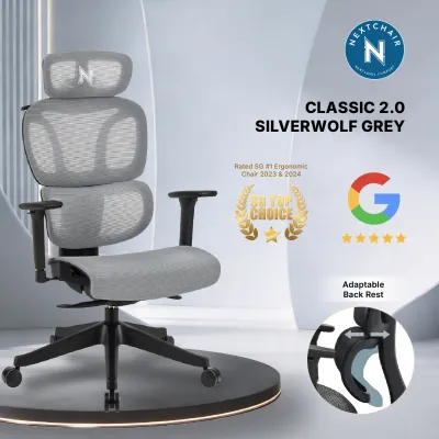 NextChair Classic 2.0 Ergonomic Mesh Chair — 8-Year Warranty Breathable German Mesh