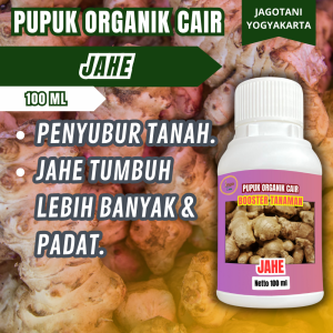 Pupuk Organik Cair Jahe 100 Ml Booster Penyubur Dan Penggemuk Tanaman By Jagotani Yogyakarta