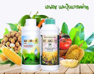 ชุดสุดคุ้ม เอฟอช 1 ลิตร ปุ๋ยแกรมม่า 1000 ซีซี ปุ๋ยเอมม่า ป้องกันเชื้อรา 500 ซีซี ใบเชียว ต้นสมบูรณ์ Aforch สารจับใบ ปุ๋ยน้ำ