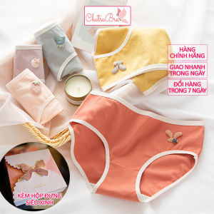 Set 5 quần lót nữ cotton màu trơn mềm mại viền trắng vải kháng khuẩn