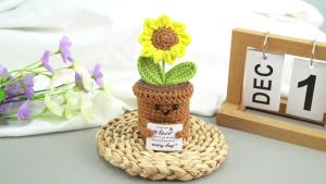 Sunflower Crochet for Ashes - Small Heart Glass Urn for Human Ashes Keepsake Funeral Keepsake for Women MenUrns Cremation Holder