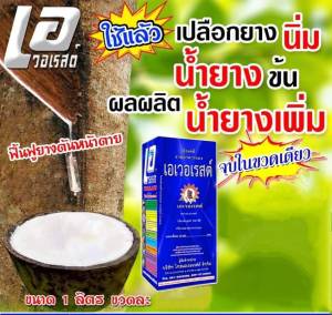 เอเวอเรสต์ ปุ๋ย เร่งน้ํายาง เพิ่มน้ํายาง รักษาหน้ายางตายนึ่ง ป้องกันเชื้อรา เปลือกยางนิ่ม น้ํายางออกดี เพิ่มธาตุอาหาร 1ลิตร