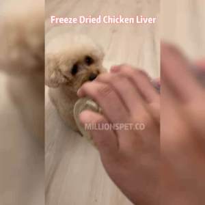 Millionspet.co Freeze Dried Chicken Meat Pet Snack Pet Food Makanan Berkhasiat Gemukkan Kucing Makanan High Protein