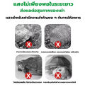 หลอดไฟให้ความร้อนและรังสี UVA + UVB 3.0 ไฟนก ไฟเต่า ไฟกิ้งก่า ไฟสัตว์เลื้อยคลาน ให้ความอบอุ่นสัตว์เลี้ยง ไฟกก เต่าบก ​ลูกนก สัตว์เลื้อยคลาน. 