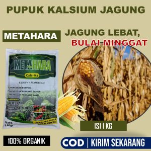 PROMO COD MURAH - Obat Bulai Jagung Terbaik - Pupuk Organik Tanaman Jagung Lebat Anti Hama dan Penyakit - Pupuk Semprot Bulai Jagung Terbaik dan Original Paling Manjur  - Pupuk Jagung Alami dan Efektif