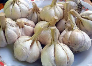 Bawang Putih Kating 1 Kg - Siungan Premium Segar