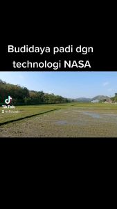 BVR PENGENDALI HAYATI TERLARIS.