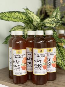 Mật ong hoa cà phê tự nhiên Tây Nguyên - Combo 5 chai 500ml