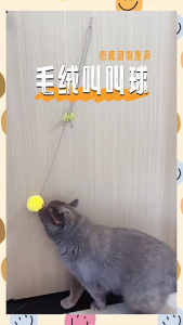 Indoor Cats Entertainment Squeaky Bird Toy with Simulation Animal Sound for Indoor Boredom Cats Hangable Cats Chasing Toy