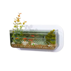 HUGHES Punch Free Wall-mounted Plastic Vase Clear Creative Hydroponic Flower Pot Mini Ornamental Tank Multi-function Wall Hanging Fish Tank Office