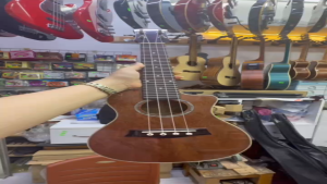 Đàn UKULELE Gỗ Hồng Đào PU Bóng Size Số 2 DUKU-HD2