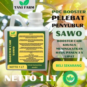 Pupuk Semprot Pelebat Buah SAWO Pupuk Pelebat Buah SAWO Pupuk Penyubur Buah SAWO ZPT