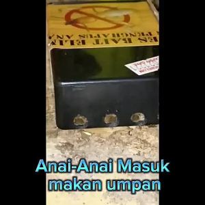 UMPANHAPUSANAI-ANAISISTEMUMPANTERKINI/TERMITEBAIT/ANAIANAIUMPAN