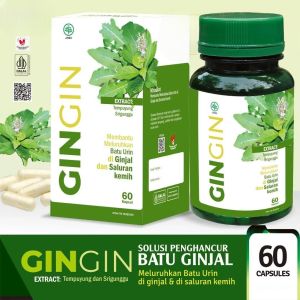 Obat Herbal Gingin Penghancur Batu Ginjal dan Batu Kandung Kemih Sebagai Peluruh Kencing Batu Halal