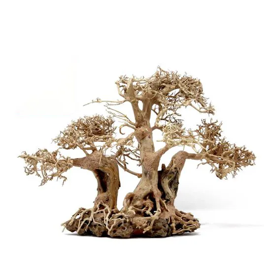 C%C3%A2y%20L%C5%A9a%20Bonsai%203%20th%C3%A2n%20-%20Trang%20Tr%C3%AD%20H%E1%BB%93%20C%C3%A1%20-%20B%E1%BB%83%20C%C3%A1%20Th%E1%BB%A7y%20Sinh%20-%20%5B%20X%C6%B0%E1%BB%9Fng%20TS%20Online37%5D%20-%20Image%201