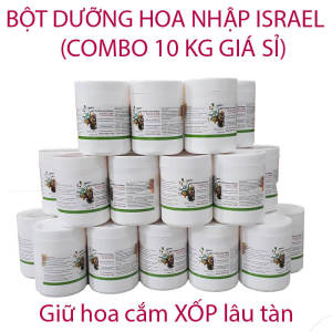 1KG Bột Cắm Hoa Xốp Cắm Hoa Lẵng lâu tàn (pha 100L nước cắm hoa) hiệu Longlife SG nhập khẩu Israel an toàn và chuyên nghiệp