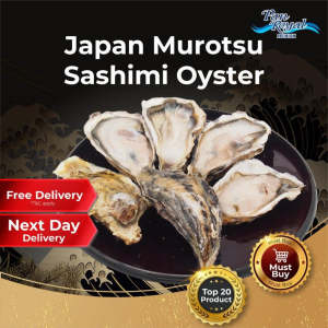 [PAN ROYAL] Frozen Japan Murotsu Oyster (Sashimi Grade) 144 pcs