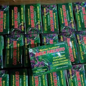 COD - Kapsul Daun Parijoto Original - Obat Asamurat Ampuh - Obat Herbal Asam urat Super Ampuh Daun Parijoto Original Obati Reumatik Flu Tulang Nyeri Persendian Kesemutan Pegal Linu Kejang Otot Sakit Kepala ( Migren )