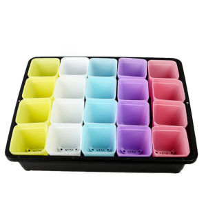 Chậu nhựa mini trồng sen đá 6 màu sắc đẹp mắt