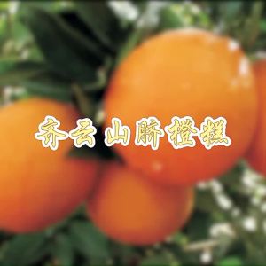 Qiyunshan Navel Orange Cake 168g  Casual Snacks   Individually packaged food   Preserved Fruit Specialty   Delivery
