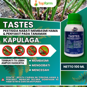 Obat Hama Buah Kapulaga / Obat Semprot Buah Kapulaga / Obat Penyubur Tanaman Kapulaga / Obat Kapulaga / Obat Tanaman Kapulaga / Obat Hama Buah Kapulaga