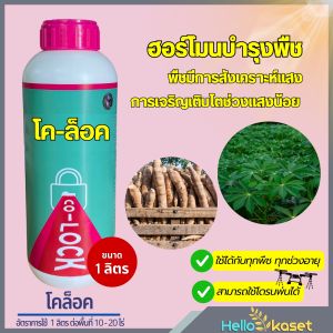 โคล็อค บำรุงพืช เพิ่มผลผลิต ขนาด 1 ลิตร ช่วยเพิ่มการสังเคราะห์แสงให้ยาวขึ้นในภาวะช่วงแสงสั้น