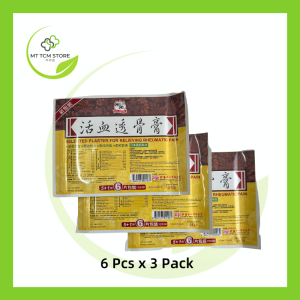 Fei Yien Pai Selected Plaster for Relieving Rheumatic Pain ( 6Pcs/24 Pcs) 飞燕牌活血透骨膏 24片 经济装