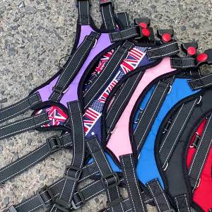 2026 Hot Sale [ Shipped from China ] Dog leash pet harness outdoor dog walking leash anti-shock dog chain pet supplies for small medium and large dogs B3