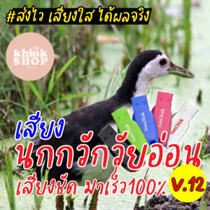 เสียงต่อนกกวักวัยอ่อน เสียงชัด มาเร็ว100% เมมเสียงนกกวักวัยอ่อน เสียงชัด มาเร็ว100% แฟลชไดร์ฟเสียงต่อนกกวักวัยอ่อน เสียงชัด มาเร็ว100% เสียงนกกวัก เสียงนกกวัก วัยรุ่น - Lazada