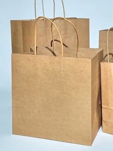 Kraft Paper Bags 100Pcs Big Plain Rope Handle Gift Pack for Christmas Shopping Party Holiday Use