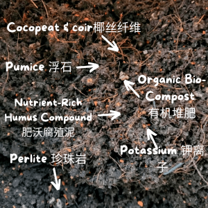🔥1KG🌱独家特出配方 园艺专用培养土 Garden Soil Tanah Pasu Terbaik 6IN1 Organic Black Soil Topsoil Potting Soil Tanah Organik 有机泥土 肥沃 泥土