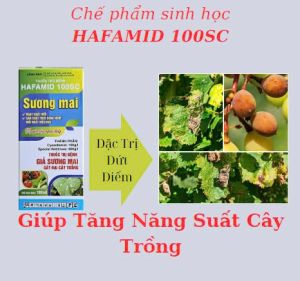 Chế Phẩm Sinh Học Hafamid 100ml - Đánh Bay Sương Mai Bảo Vệ Cây Trồng