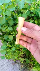 Pipa Cangklong Kayu Kumuning Mini