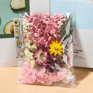 Natural Plants Dried Starry Sky Flower Preserved Materials Kit Epoxy Resin Candles Crafts Colorful Handmade Plants Soap DIY Floral Materials Set Dried Real Flowers