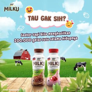 MILKU susu UHT 200ml Rasa Coklat strawberry original isi 24 /12 / 6 pcs