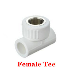 Wholesale PPR Fittings 1/2-1 Inch | Durable Leak-Proof Assorted for Plumbing