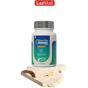 Royal Channa Obat Luka Diabetes Agar Cepat Kering Bpom Halal Mui 100% Terlaris