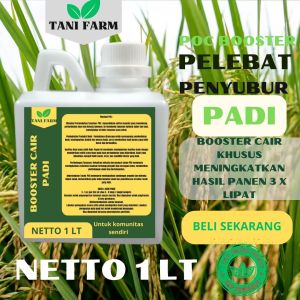 Pupuk Semprot Pelebat PADI Pupuk Pelebat PADI Pupuk Penyubur PADI ZPT