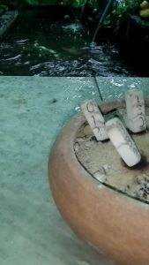 ธูปท้าวเวสสุวรรณ" บรรจุ 100 แท่ง แถมฟรีคาถาบูชา ขายถูกราคาส่ง ปลุกเสกเรียบร้อยเลข 3 หลัก แม่นแน่นอน ขอพร ขอโชคลาภที่ต้องการ