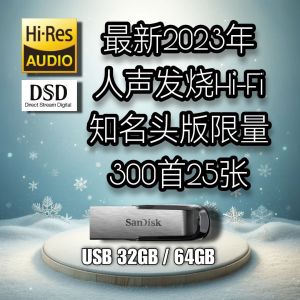 USB MUSIC【HI-FI发烧】 人声 华语/粤语 爆红 经典 金曲专辑│绝对值得收藏│HI-RES / 24bit - wav / DSD64 │现货 Ready Stock