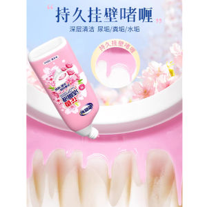 SAVELIVING Floral Toilet Cleaner 500ML