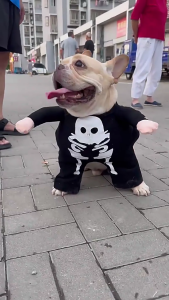 Dog Halloween Clothes Funny Skeleton Halloween Theme Clothes Skeleton Pullover Funny Dressup Photo Props