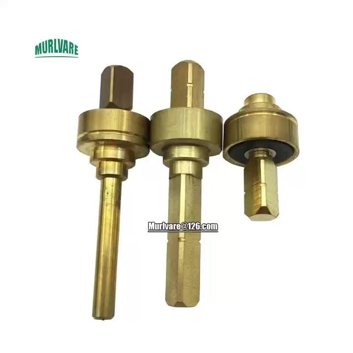 Various Espresso Machine Parts Brewing Head Pressure Relief Valve Spool