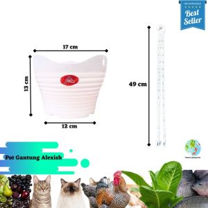 (6 pcs) Pot Gantung Tanaman Hias Alexish