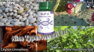 GLP-X Fat Burner Food Supplement (30Capsules)