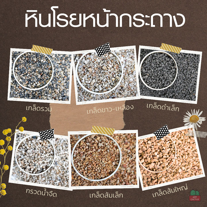 หินโรยหน้ากระถาง 1 กก. สำหรับตู้ปลา สวนแคคตัส